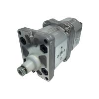 Насос сдвоенный ALPA1-D-9+ALPP1-D-6