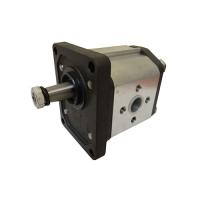 Насос GHP1-D-13-C0-FG
